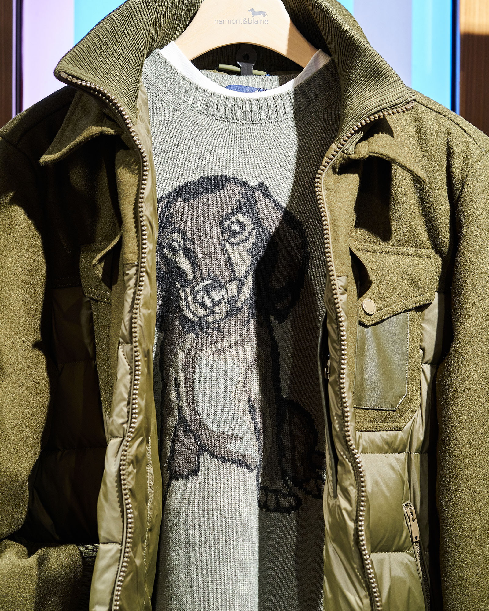 Close-up of dachshund sweater and quilted jacket on display.