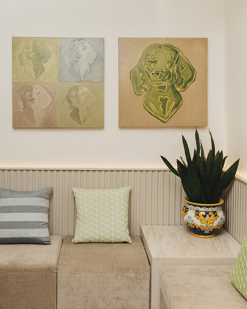 Interior with cushions, plants and decorative paintings in Capri.