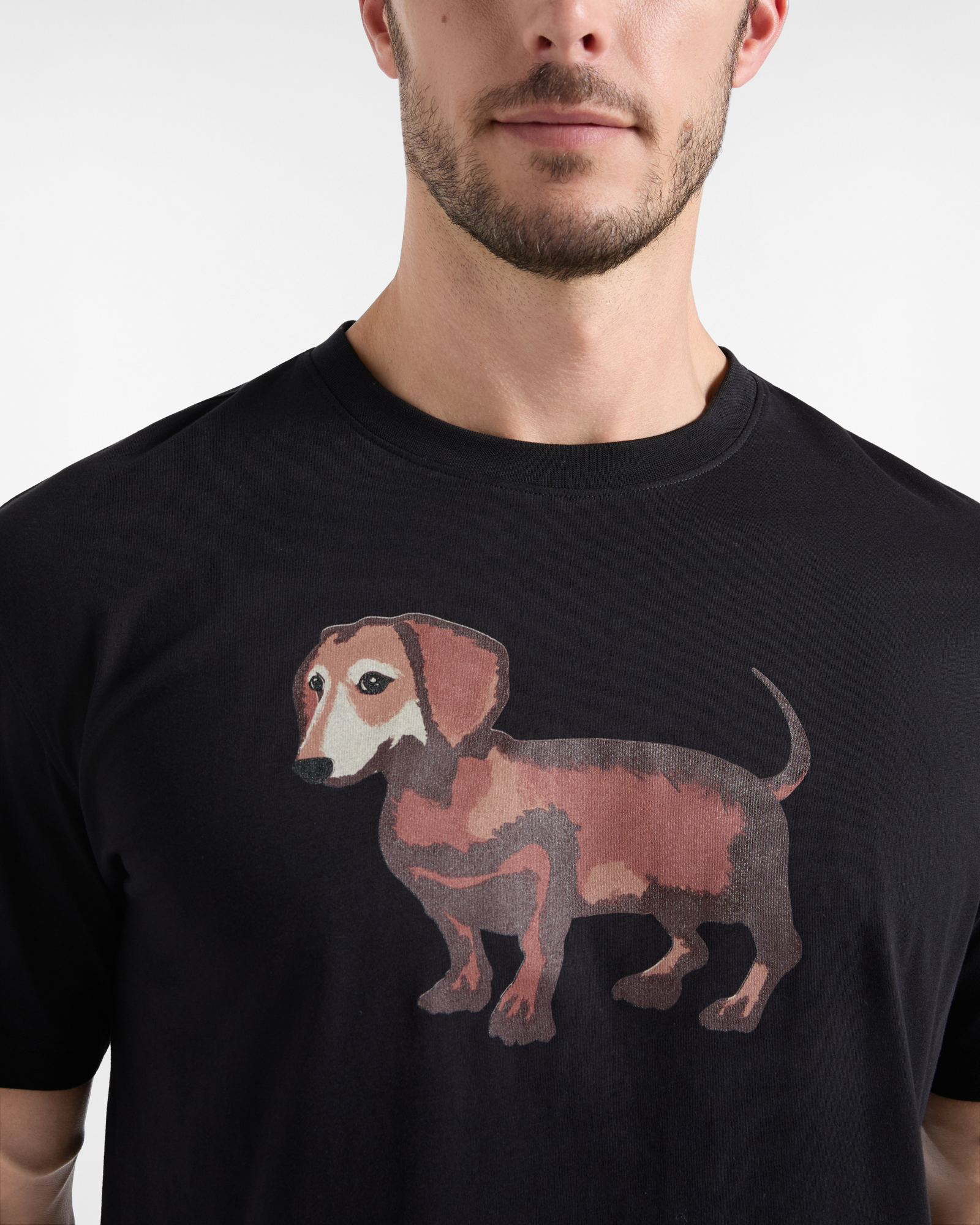 Men&rsquo;s Pure Cotton Jersey T-shirt with Watercolour-Effect Dachshund Print, BLACK, large
