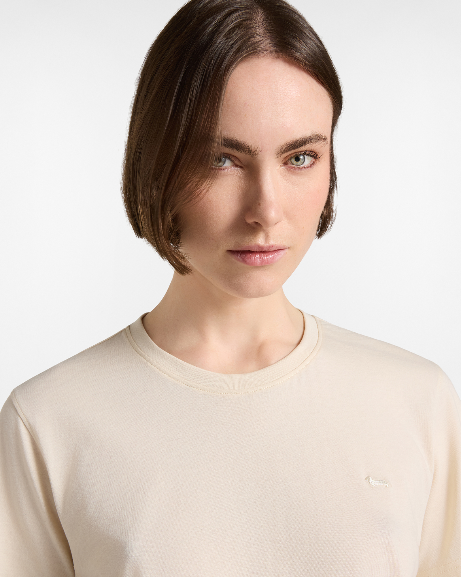 Women's  100% pure cotton round neck T-shirt, TAUPE, large