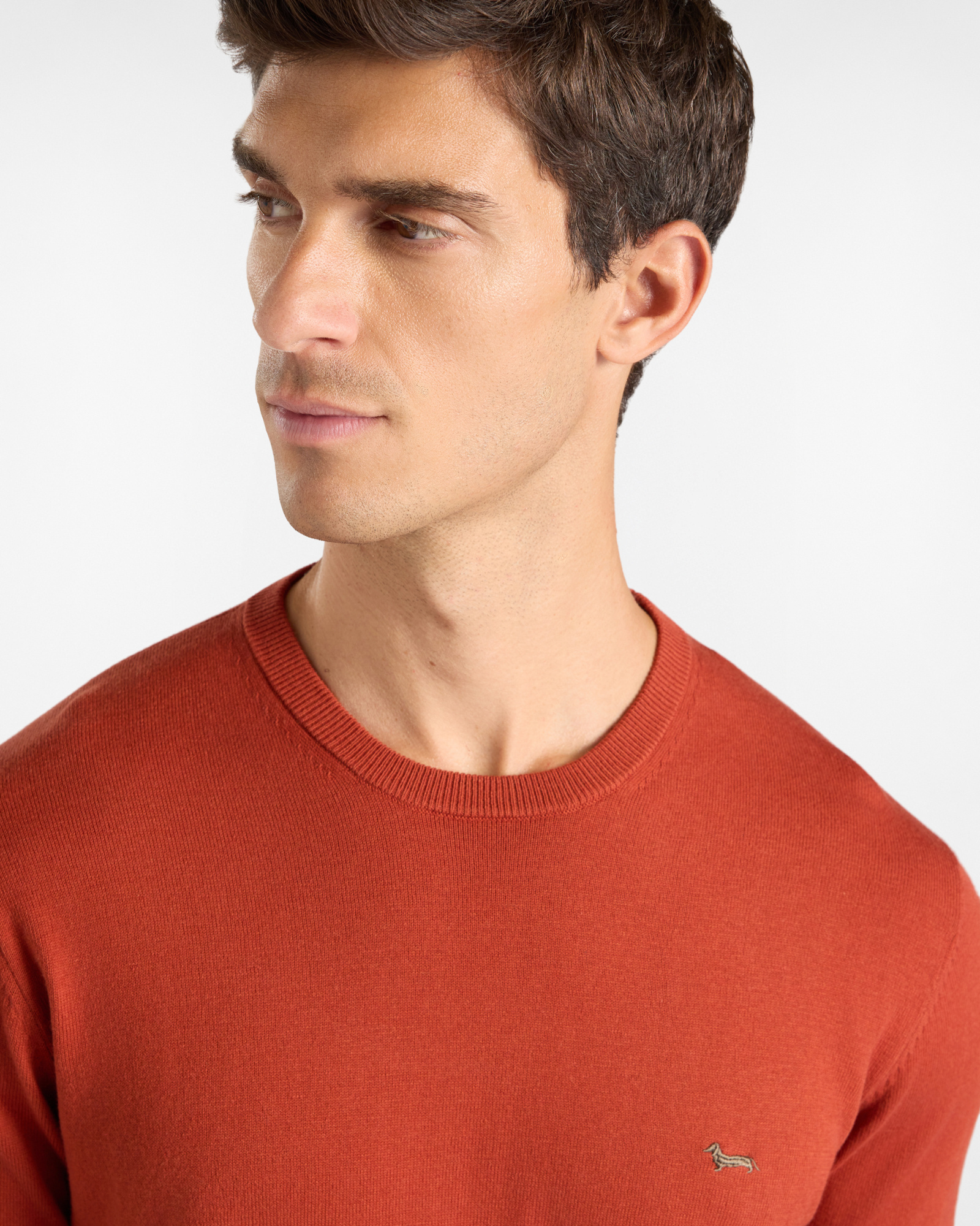 Jersey Hombre en mezcla de lana y algod&oacute;n   Regular Fit, ROJO LADRILLO, large