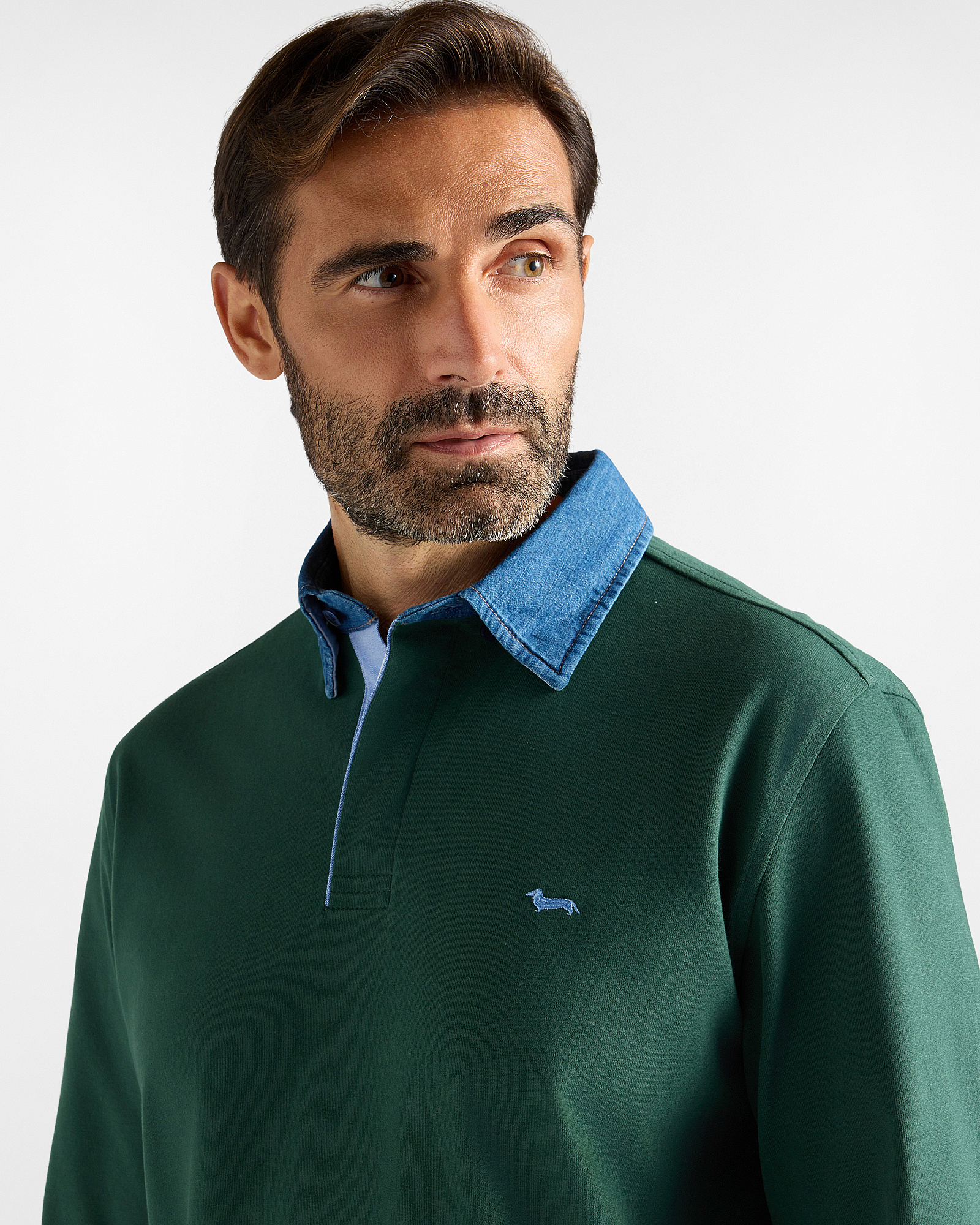 Polo Vietri para hombre de manga larga en jersey de algod&oacute;n 100 % puro, VERDE, large