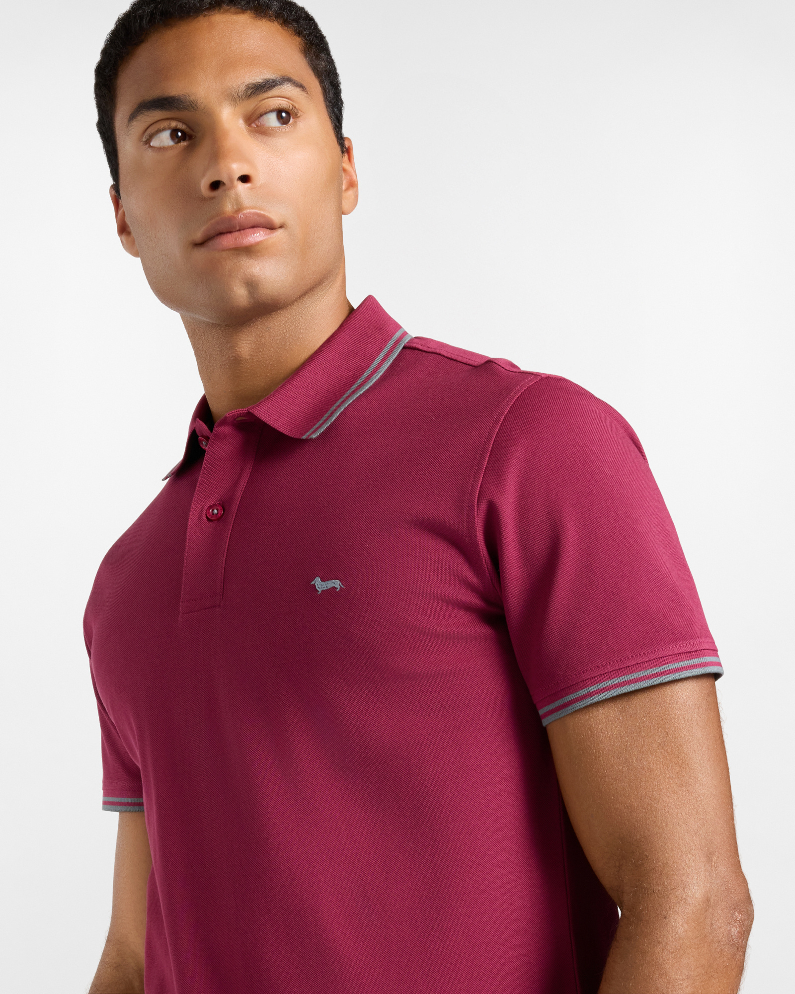 Men's short-sleeve 100% pure cotton piqu&eacute; polo shirt, INDIAN ROSE, large