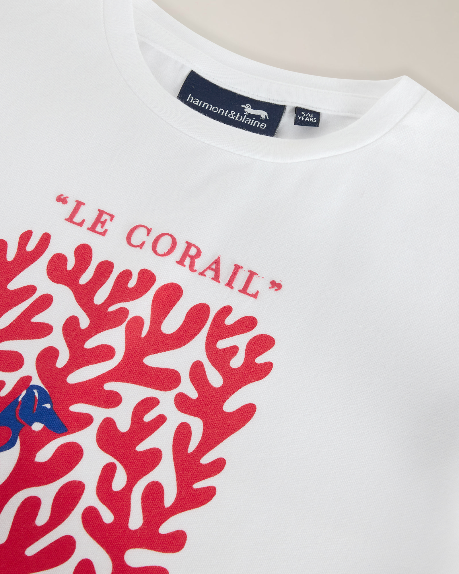 T-shirt con stampa corallo e bassotti, Bianco, large