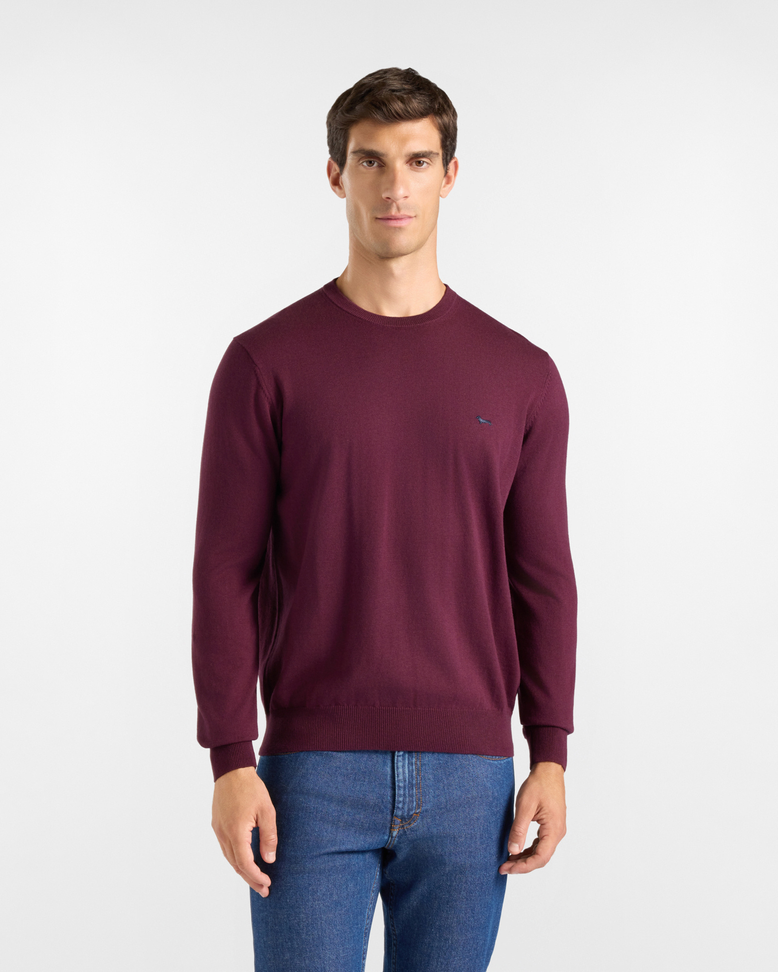 Men's regular fit sweater in a dark purple wool and cotton blend