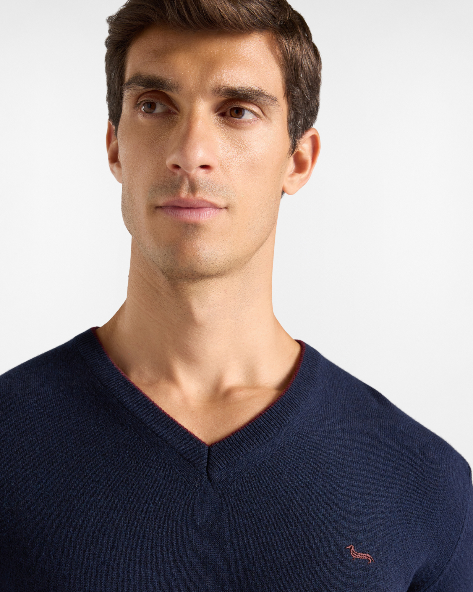 Men's regular fit V-neck sweater in a  wool and cashmere blend, NAVY BLUE, large