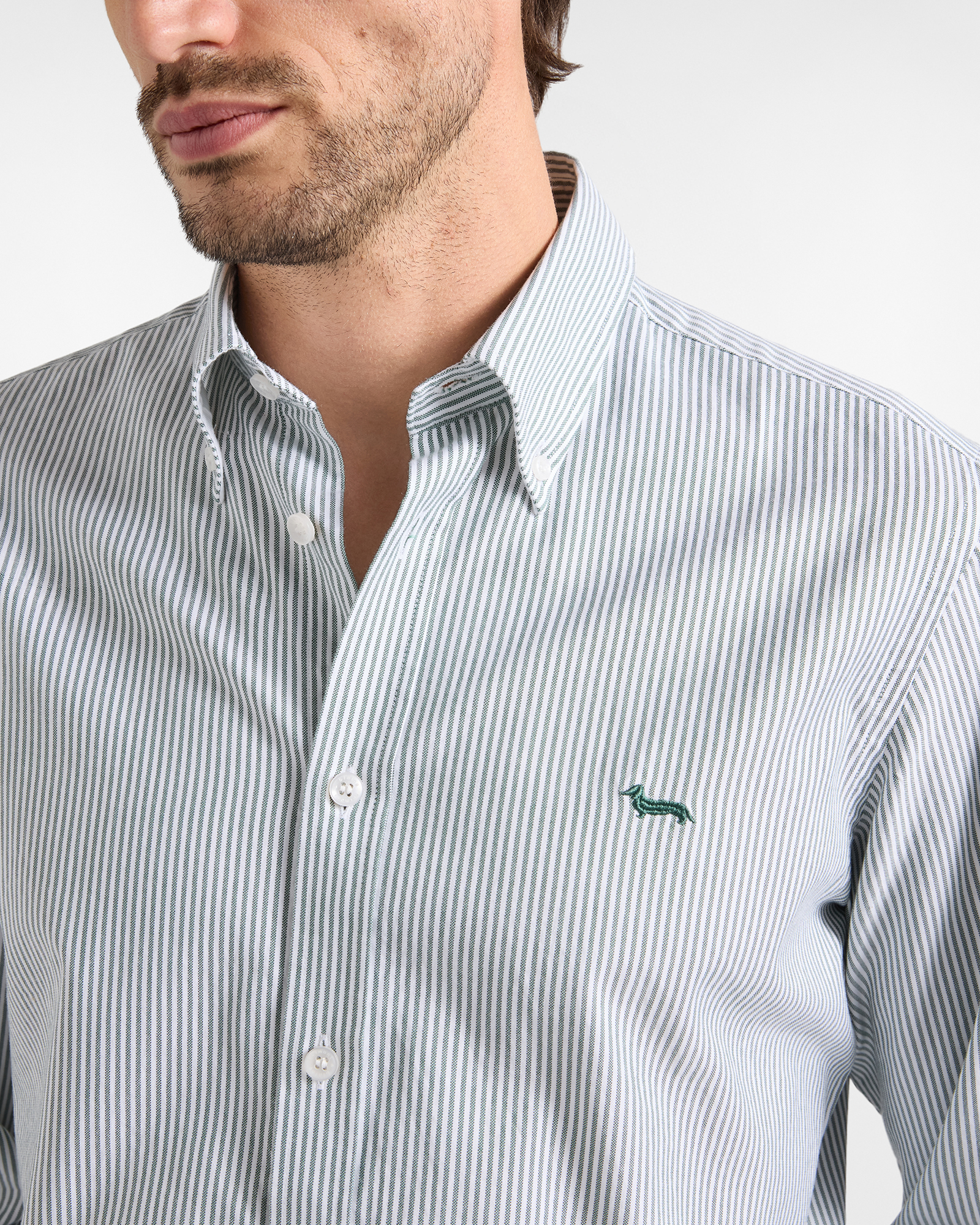 Men's regular-fit yarn-dyed Oxford shirt with stripe, BOTTLE GREEN, large
