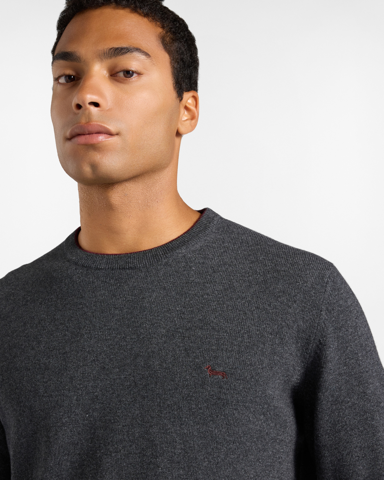 Men's crewneck sweater with contrasting stripe in a gray wool and cashmere blend with regular fit, GRAY, large