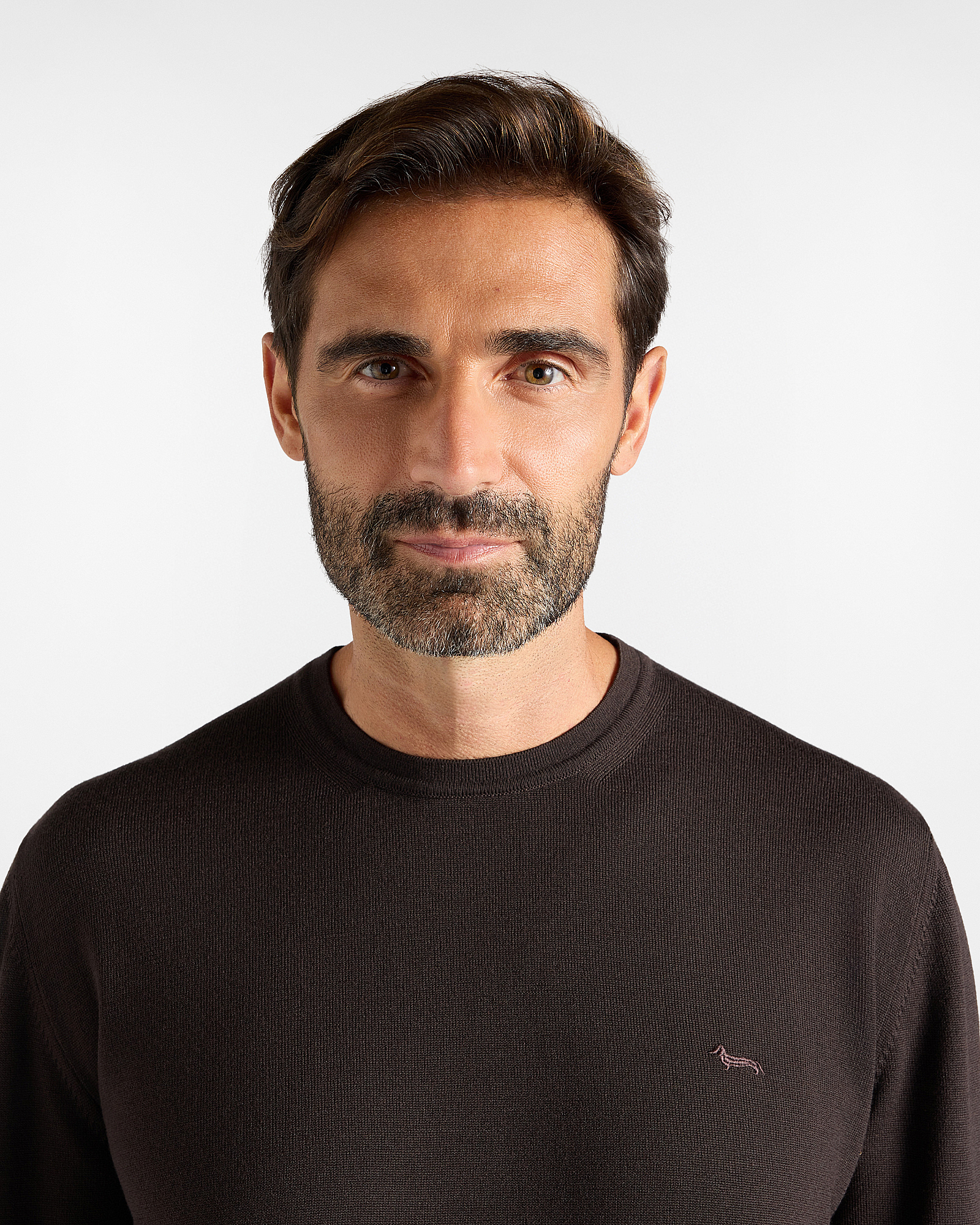 Men's Made in Italy sweater in  100% pure wool with regular fit, DARK BROWN, large