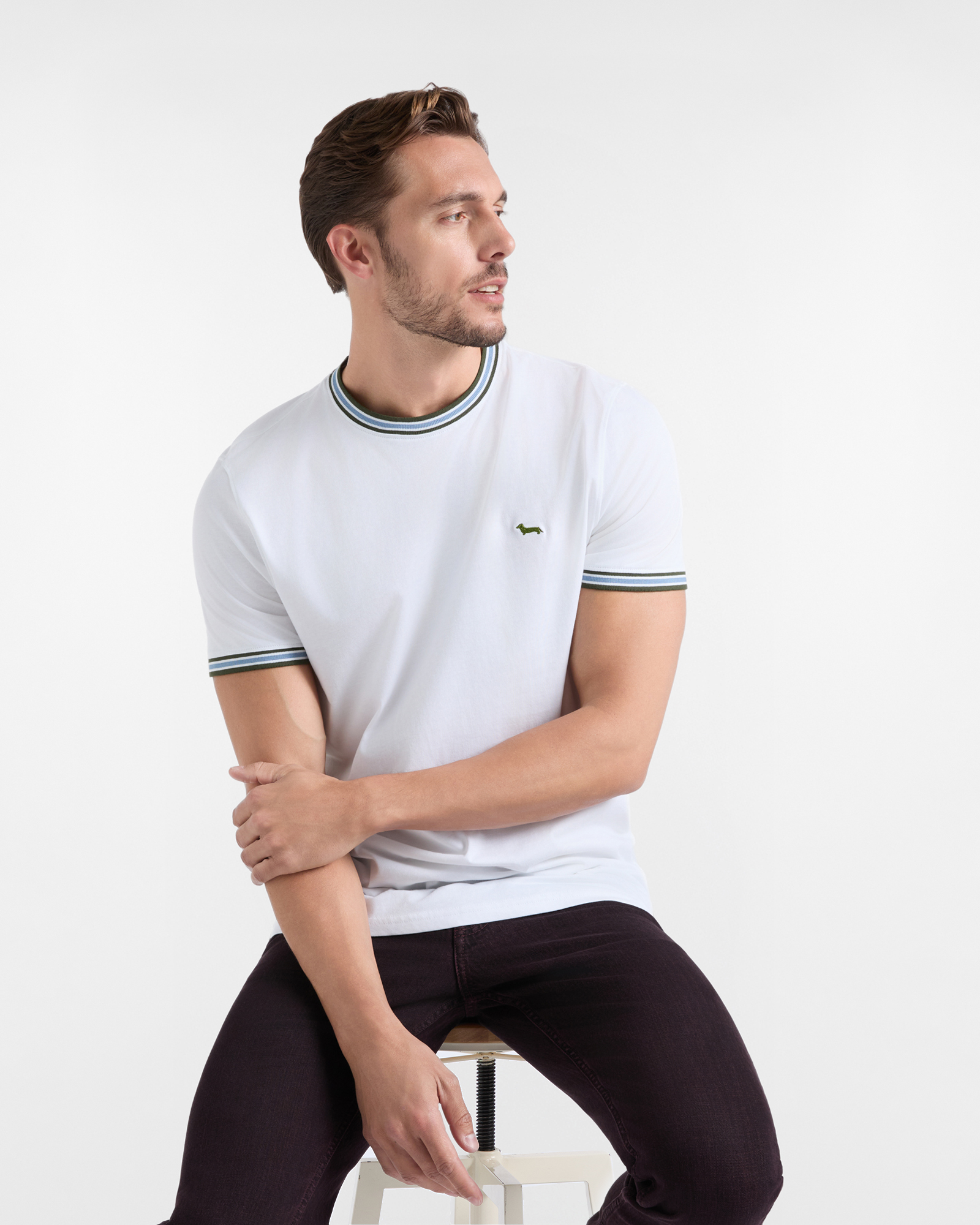 Men's regular-fit T-shirt with striped ribbed crewneck in 100% pure cotton, WHITE, large