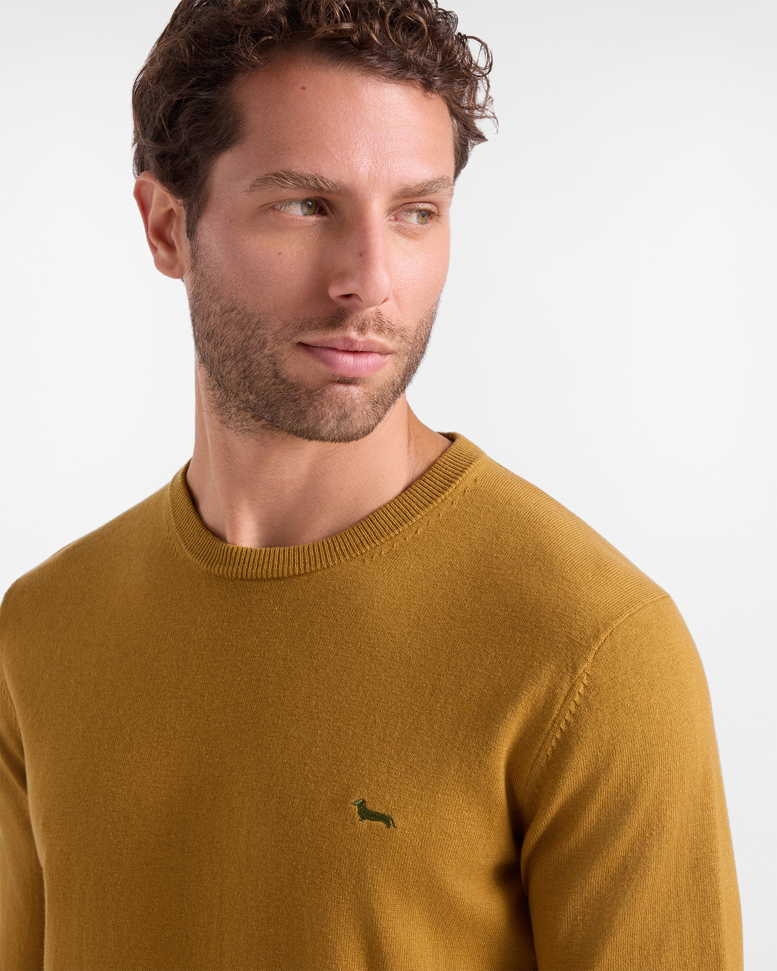 Maglia Uomo in misto lana e cotone  Regular Fit, MARRONE SCURO, large