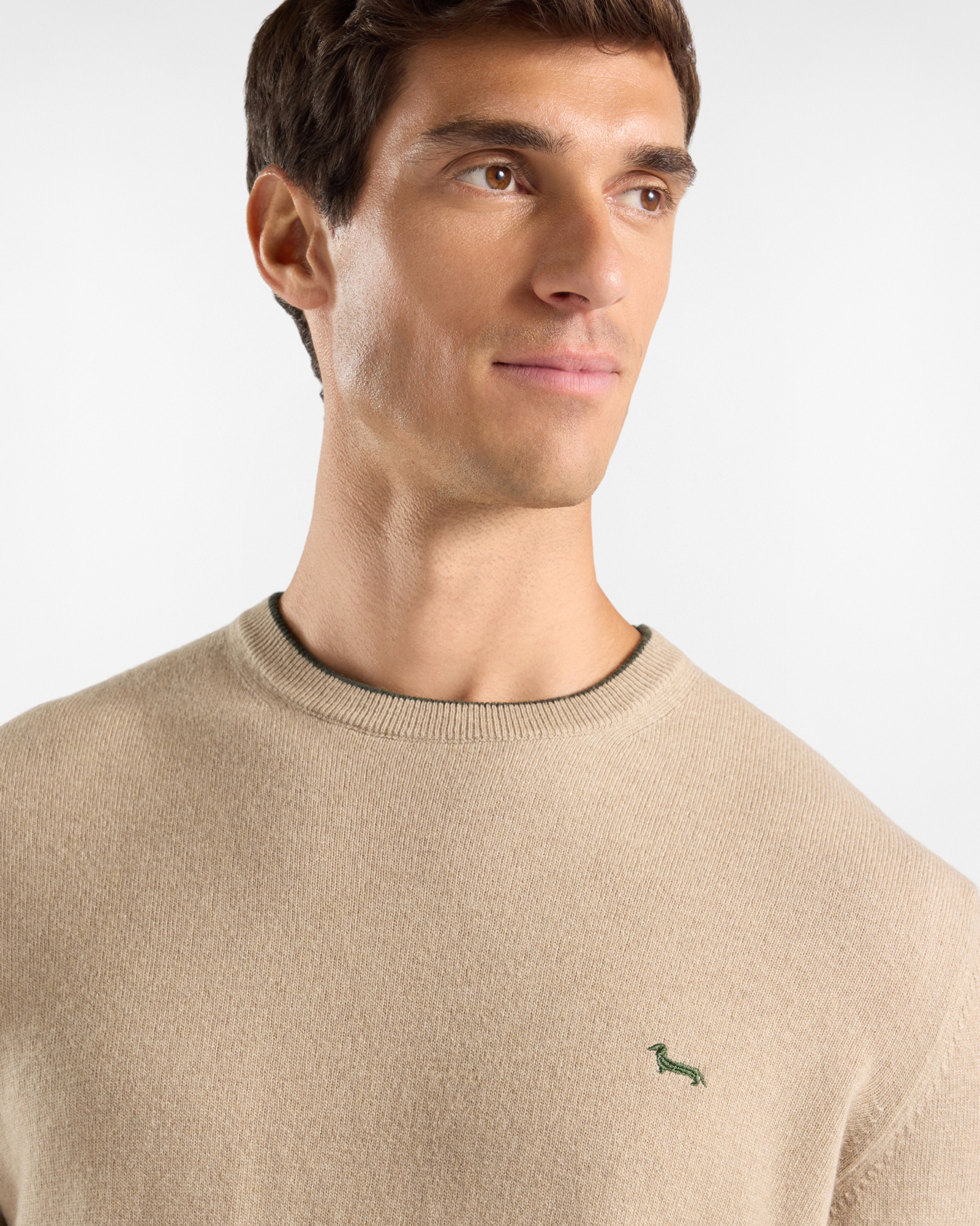 Men's crewneck sweater with contrasting stripe in a gray wool and cashmere blend with regular fit, BEIGE, large