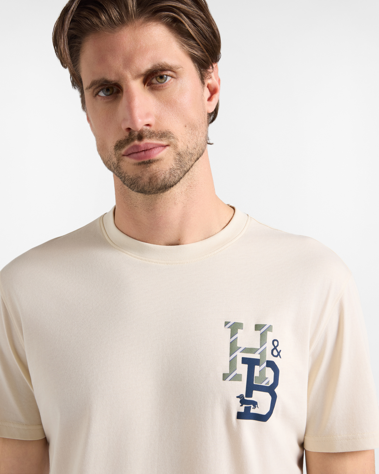 Men's regular-fit T-shirt in 100% pure cotton, TAUPE, large