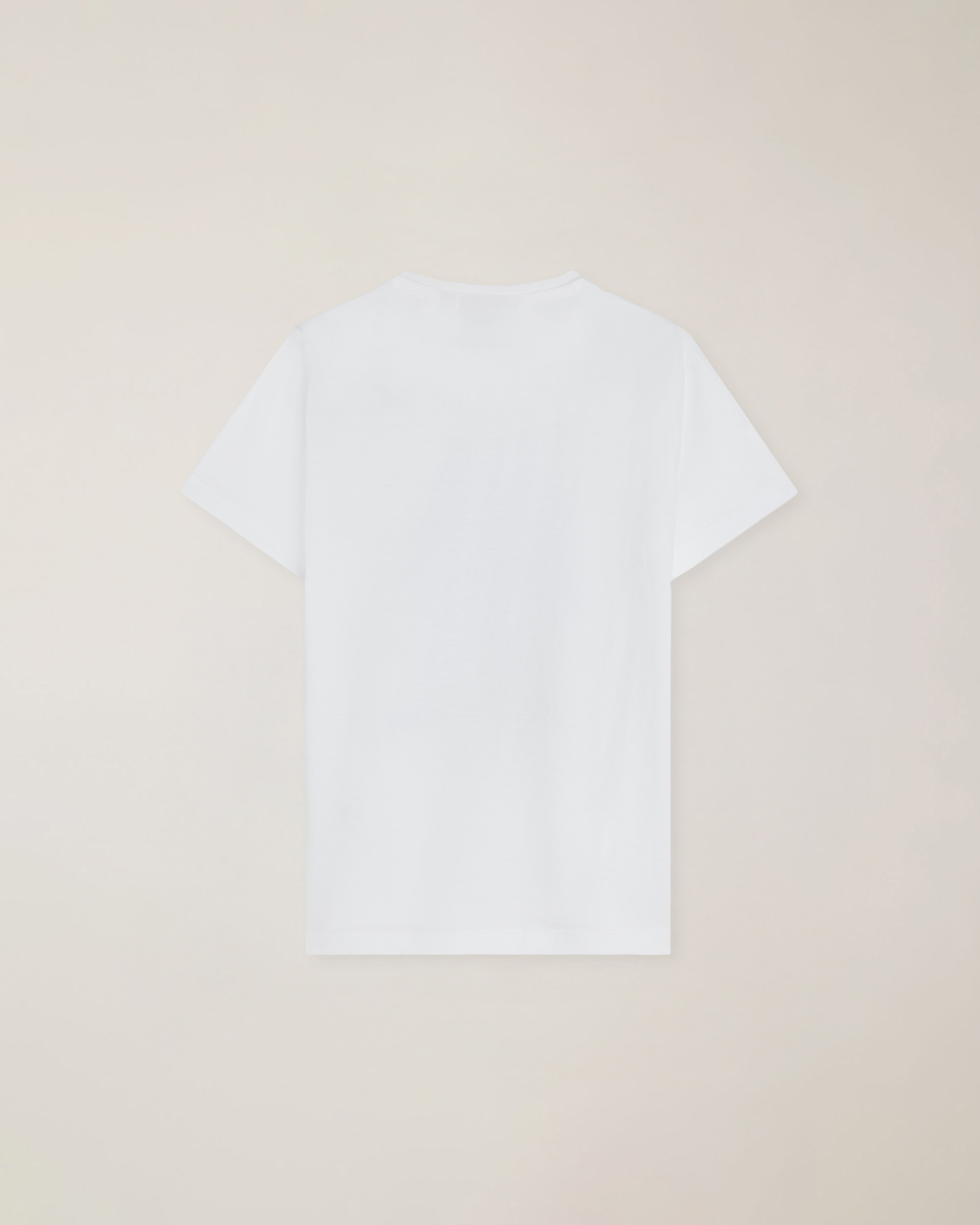 T-shirt con stampa corallo e bassotti, Bianco, large