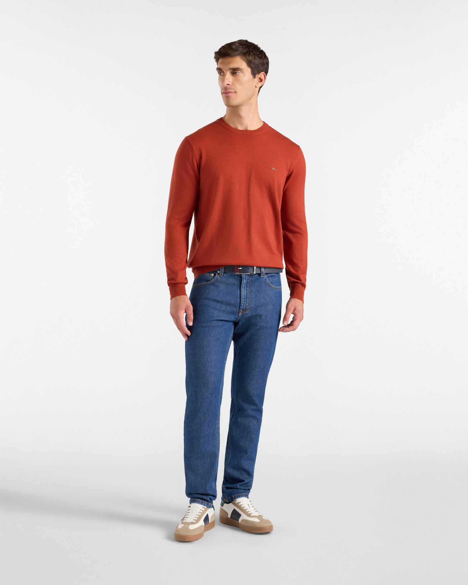 Jersey Hombre en mezcla de lana y algod&oacute;n   Regular Fit, ROJO LADRILLO, large