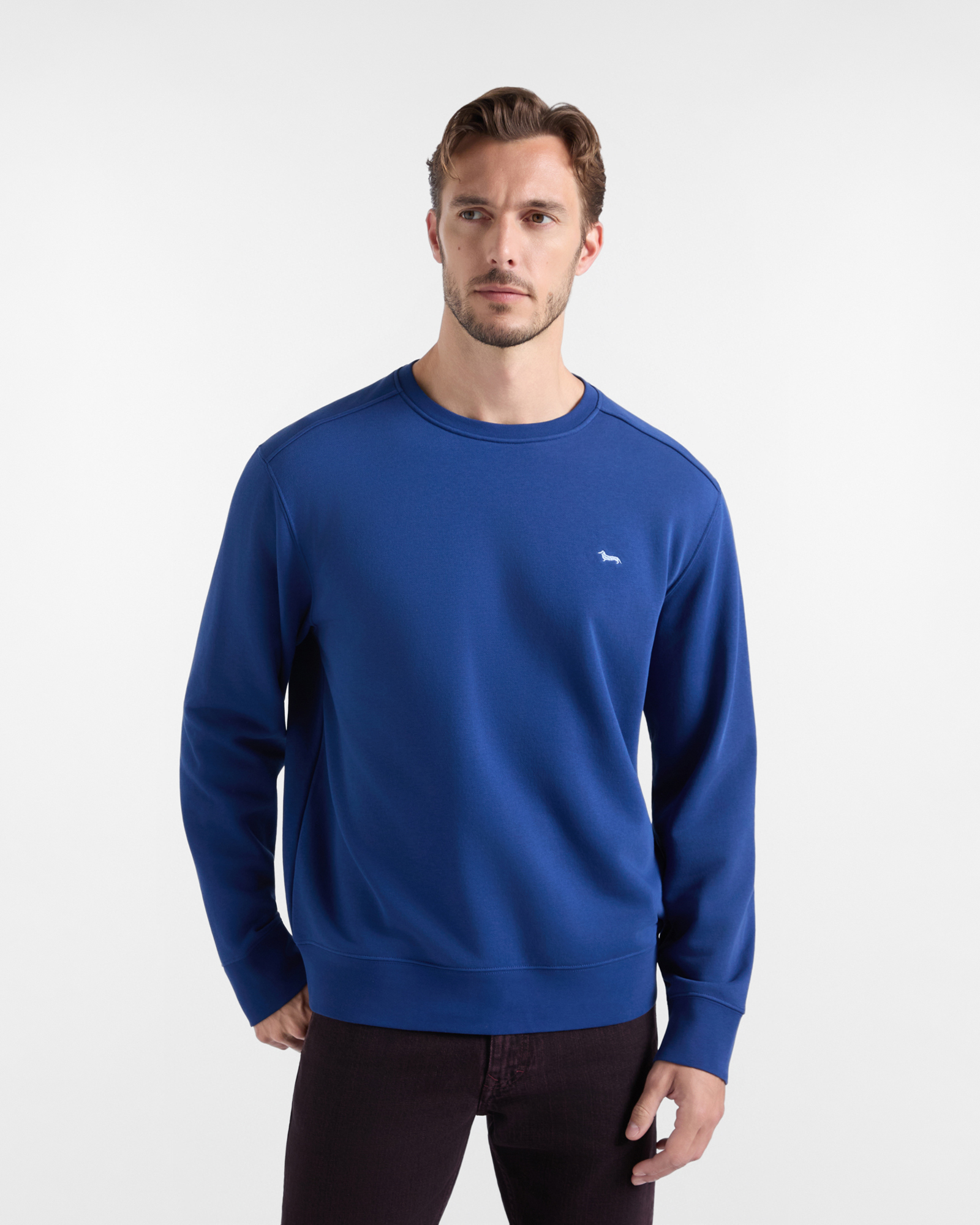 Men's Regular Fit brushed fleece crewneck sweatshirt, SPORT BLUE, large