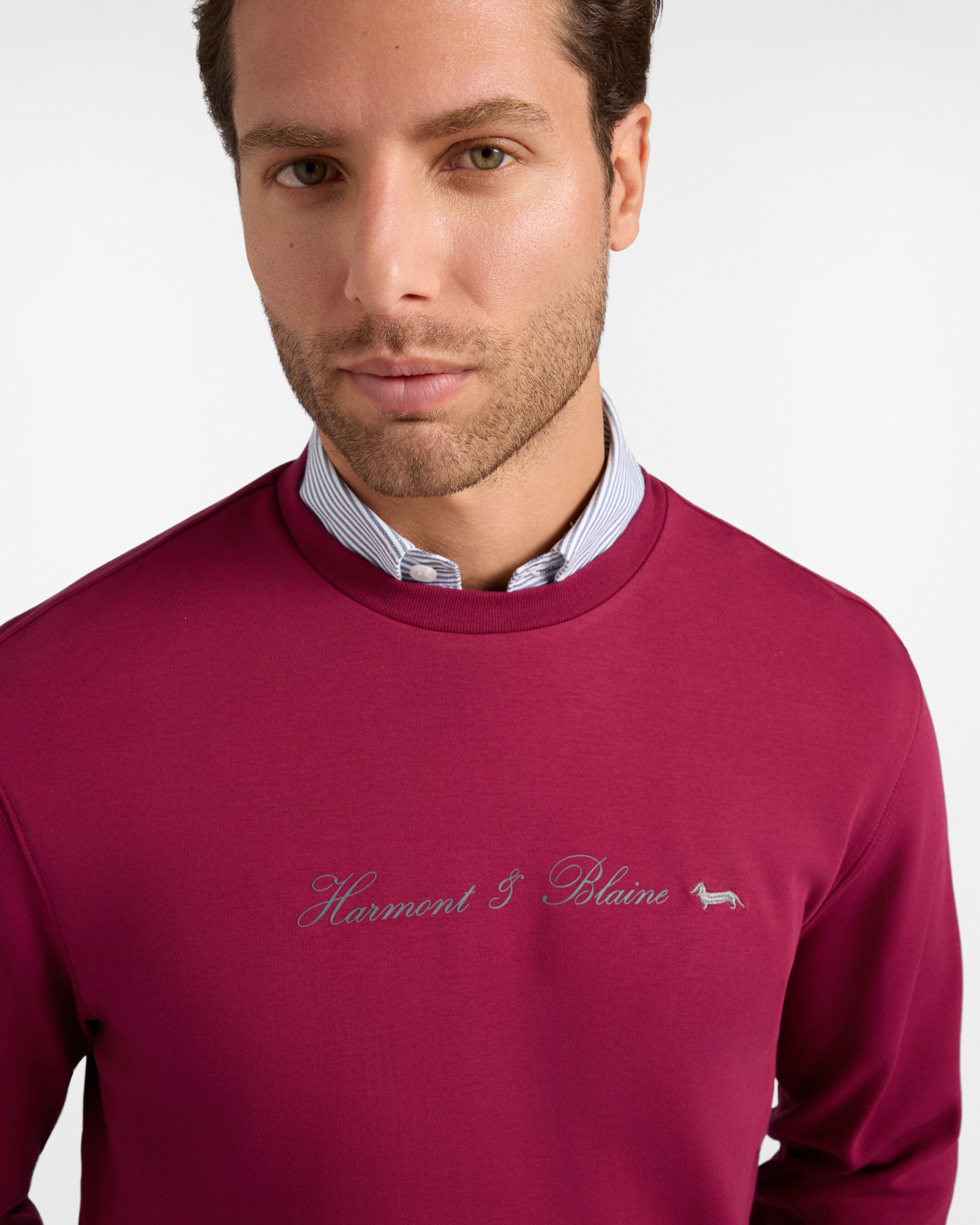Felpa Uomo girocollo in puro cotone con logo 3D, INDIAN ROSE, large