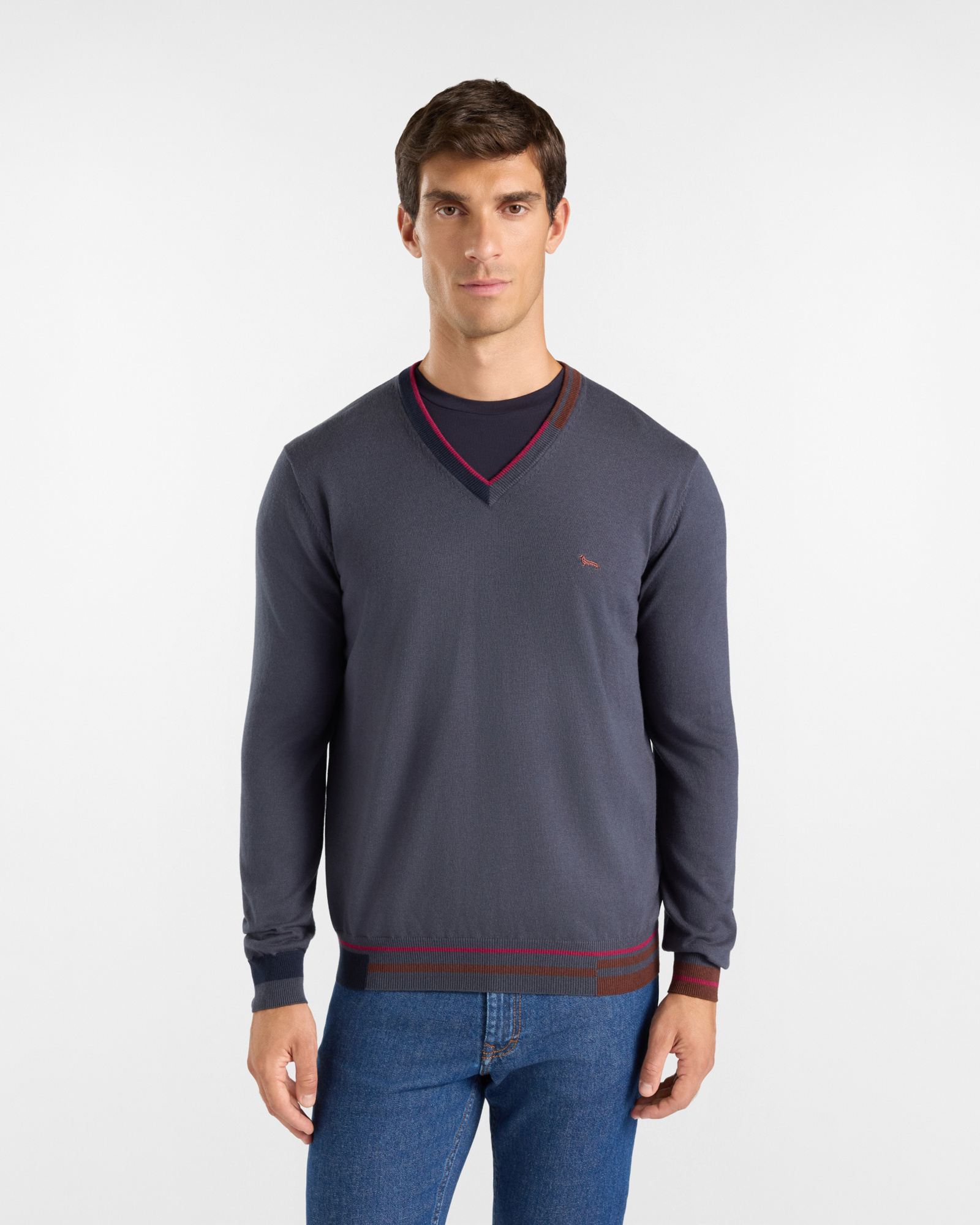 Men's regular fit V-neck sweater in a gray wool and cotton blend