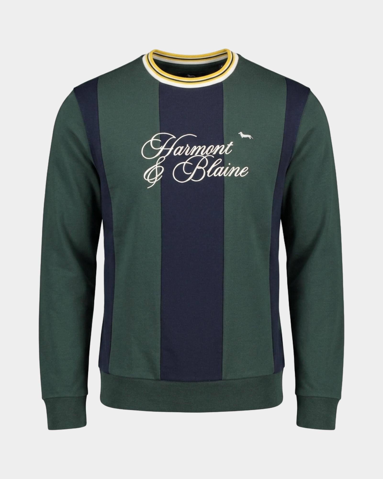 Men's green crewneck sweatshirt with contrasting panels, BOTTLE GREEN, large