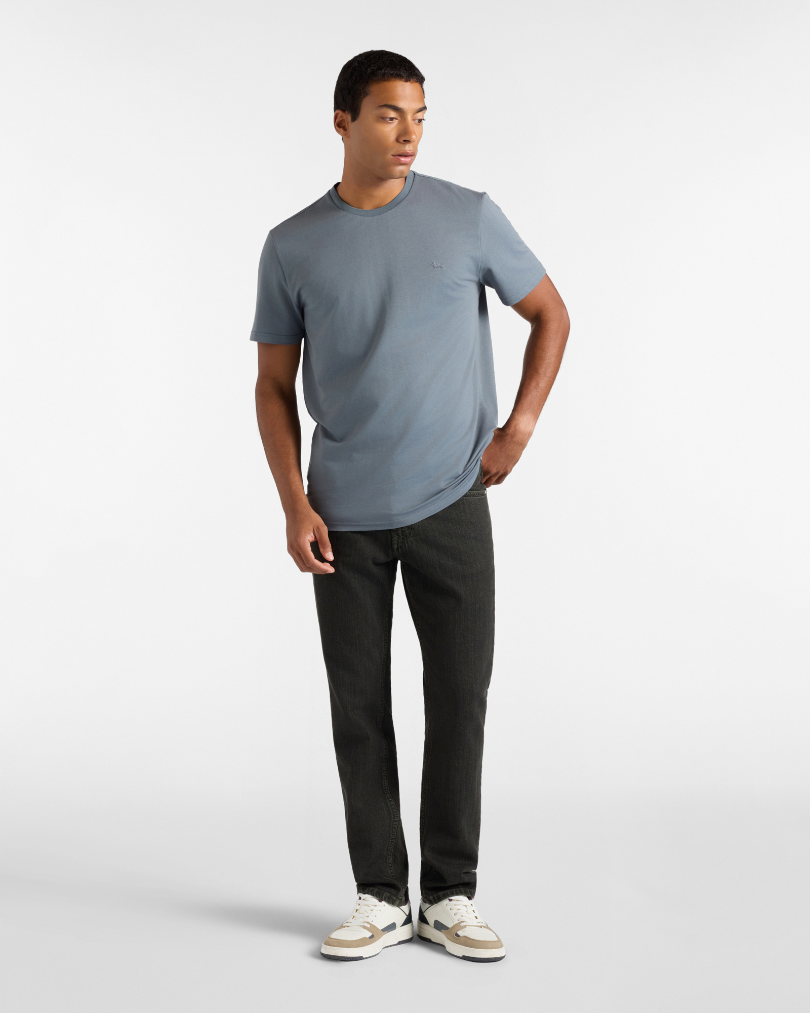 Camiseta de hombre en mezcla de algod&oacute;n y seda corte regular, GRIS, large