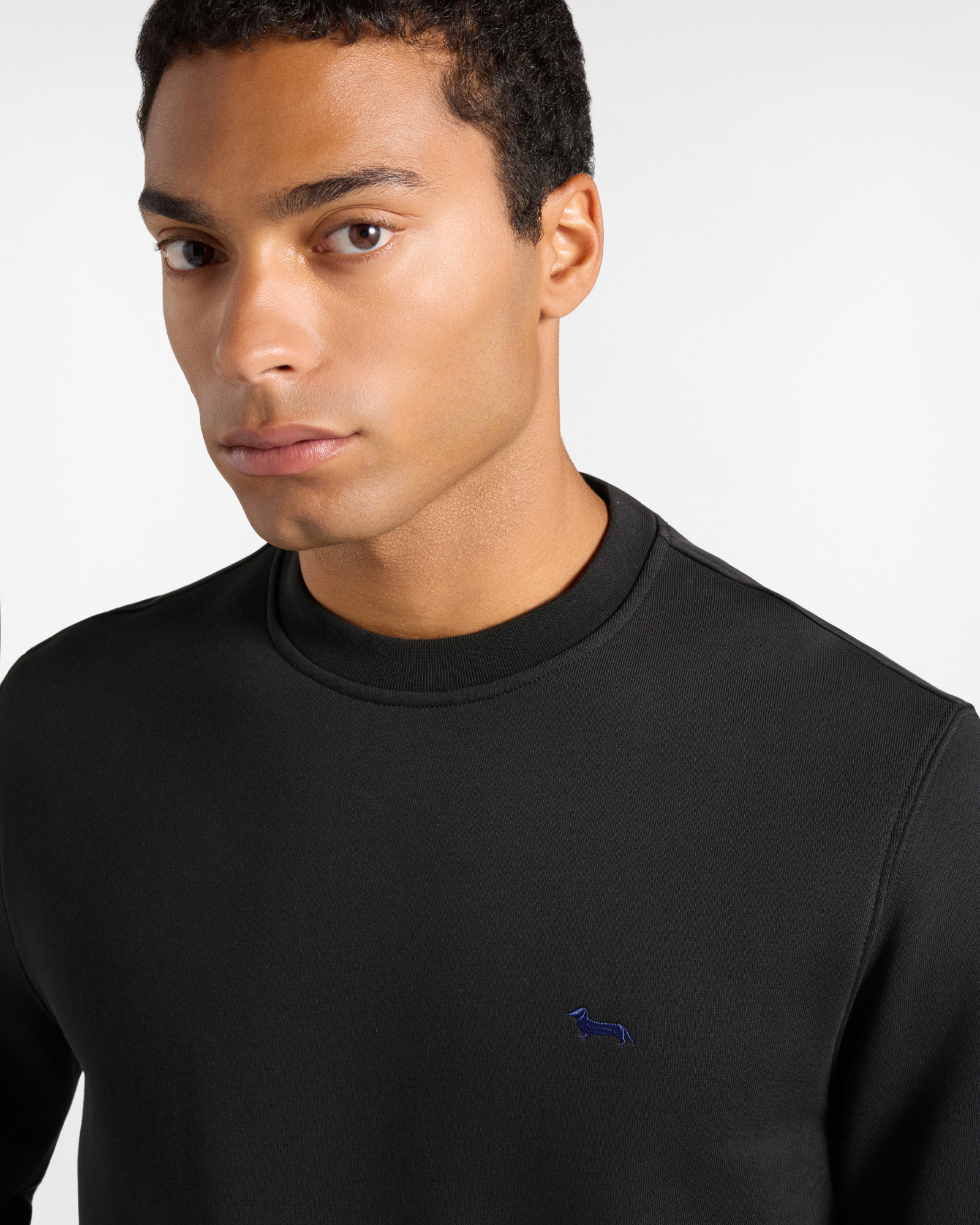 Men's Regular Fit brushed fleece crewneck sweatshirt, BLACK, large