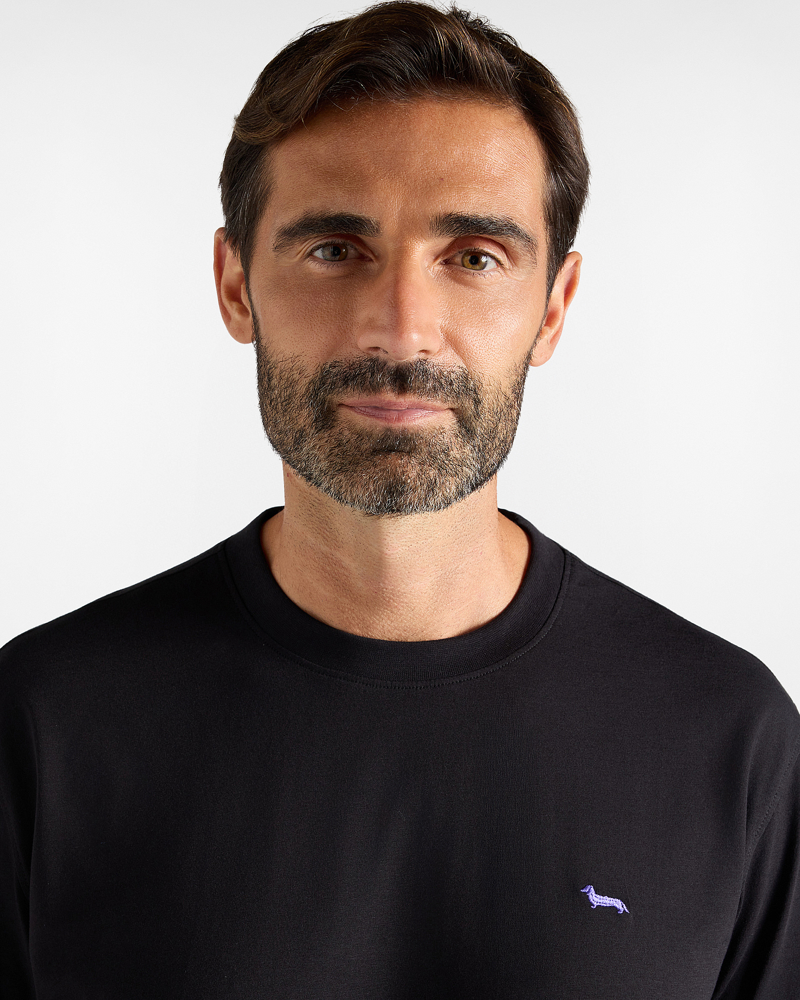 Men's regular-fit T-shirt in 100% pure cotton, BLACK, large