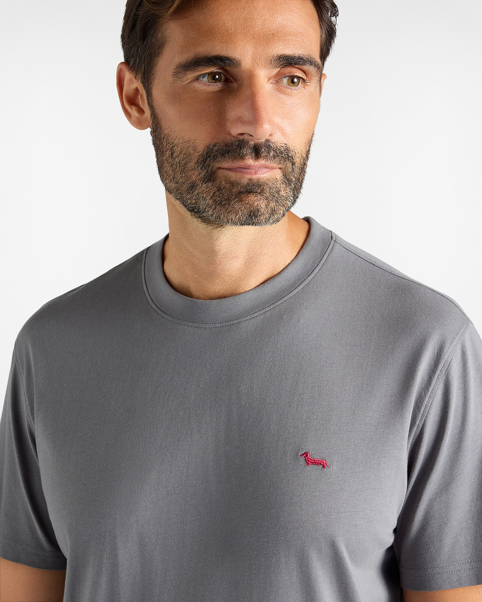 Camiseta de hombre en 100 % puro algod&oacute;n corte regular, GRIS, large