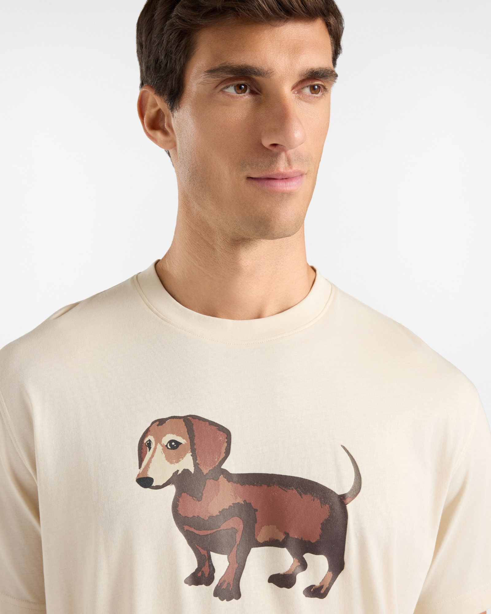 Men&rsquo;s Pure Cotton Jersey T-shirt with Watercolour-Effect Dachshund Print, TAUPE, large