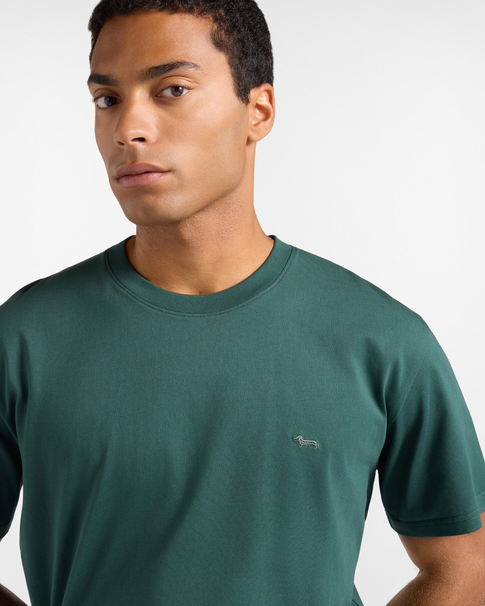 Men's relaxed-fit T-shirt in 100% pure cotton, BOTTLE GREEN, large
