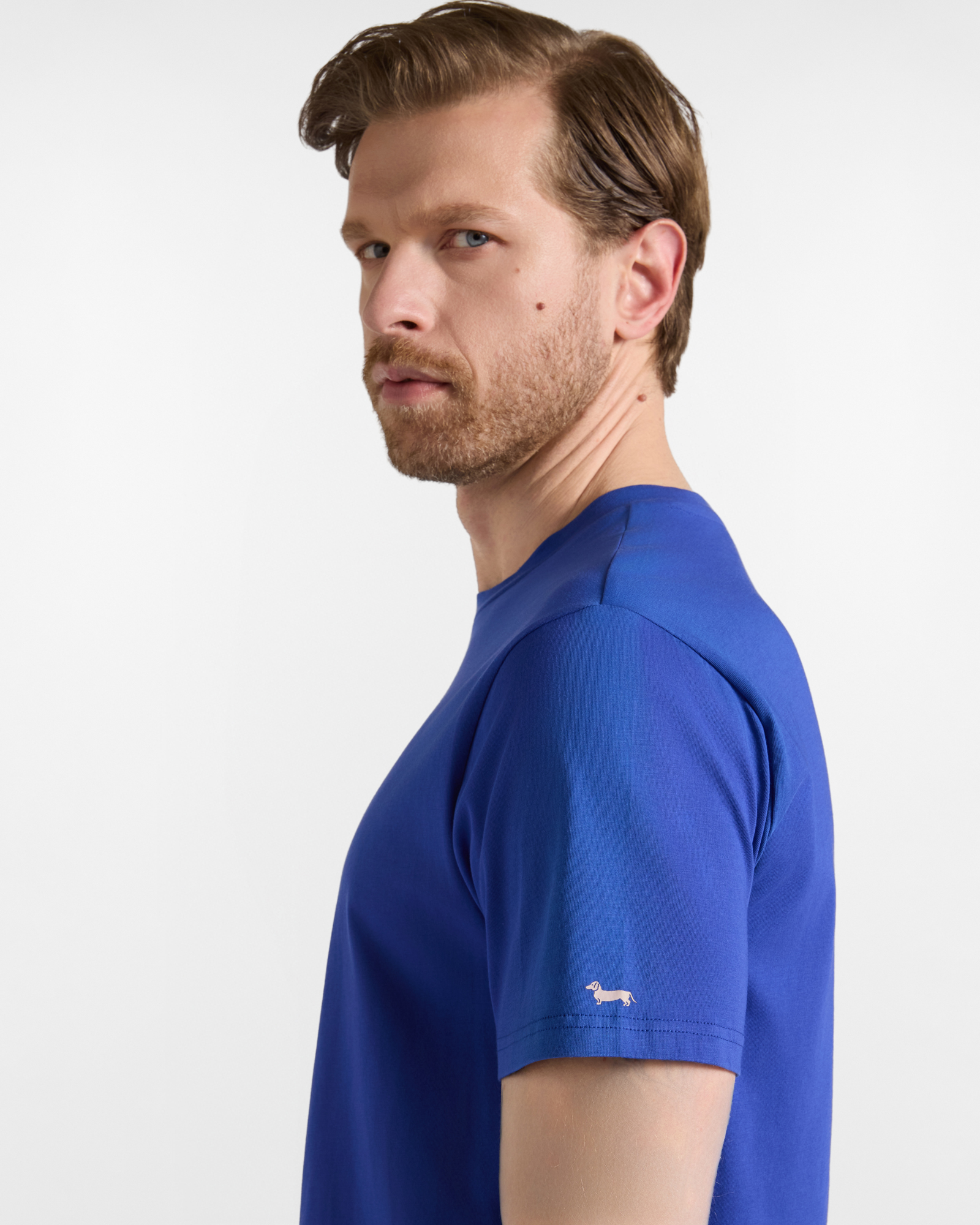 Men's regular-fit T-shirt in 100% pure cotton, ELECTRIC BLUE, large