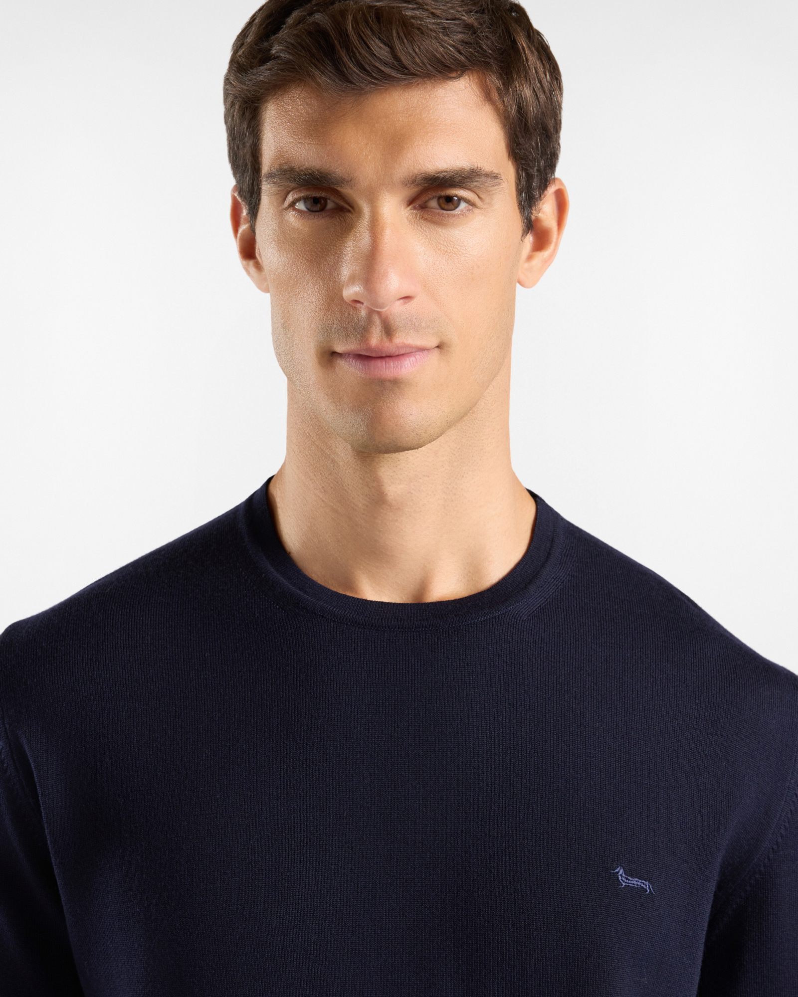 Men&rsquo;s 100% pure wool jumper, regular fit, made in Italy, NAVY BLUE, large