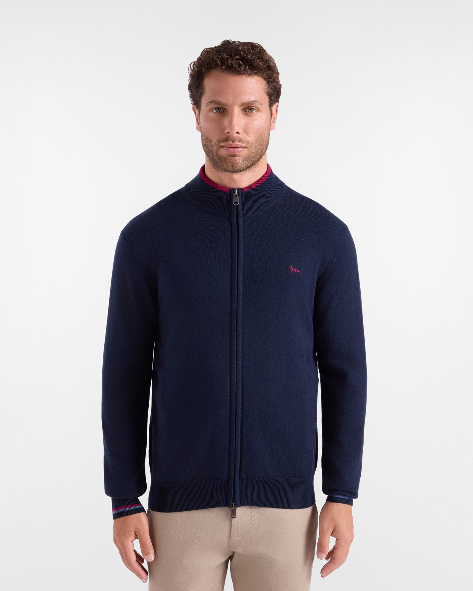 Men's regular fit sweater with full-zip stand-up collar in a blue wool and cotton blend