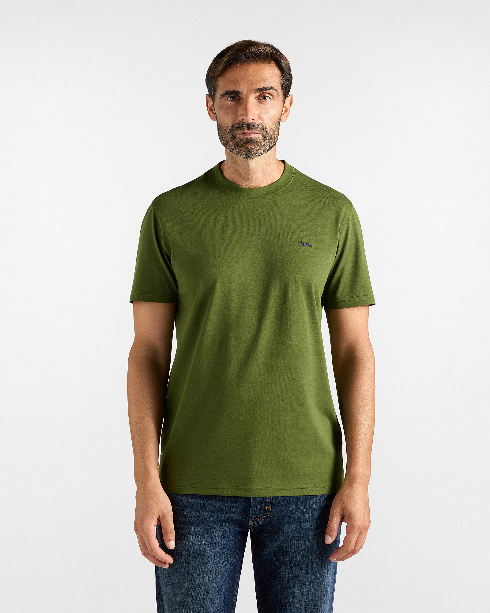 Men's regular-fit green T-shirt in 100% pure cotton